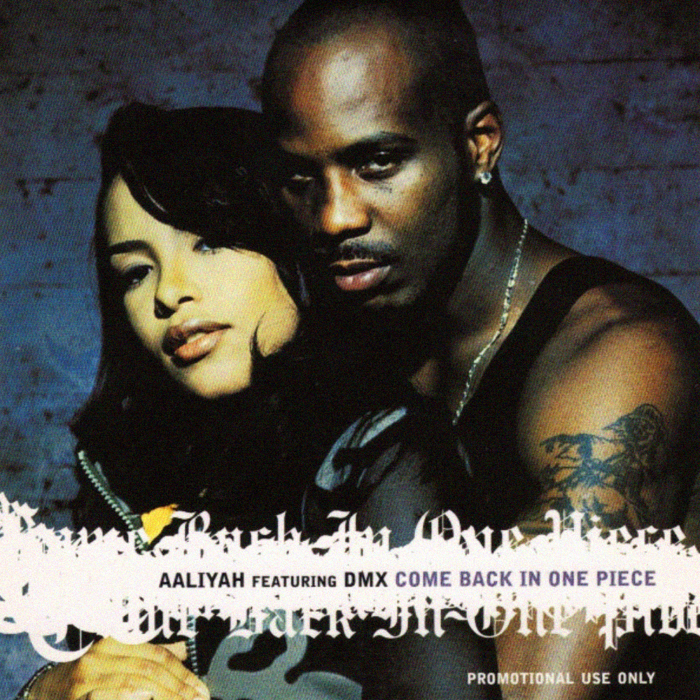 Album cover art for "Come Back In One Piece" by DMX