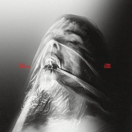 Album cover art for "Criatura" by Rita Onofre