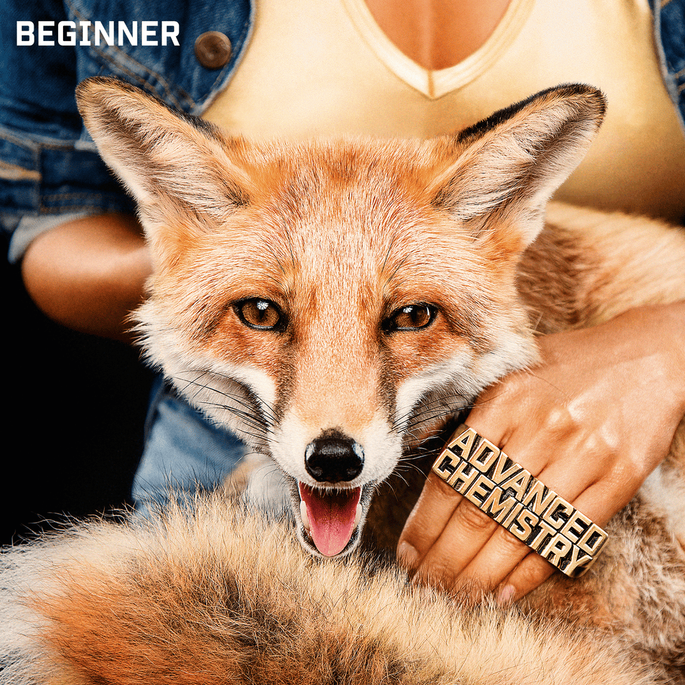 Meine Posse by Beginner