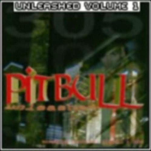 Album cover art for "Made You Look" by Pitbull