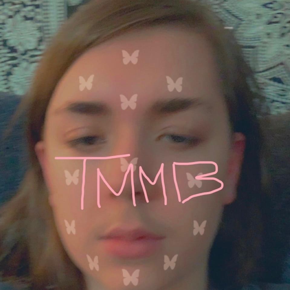 Cover image for TOO MANY MOSQUITO BITES