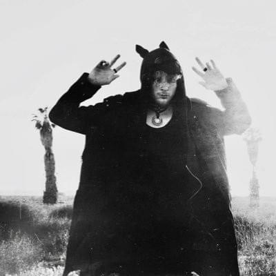 Cover image for Crywolf