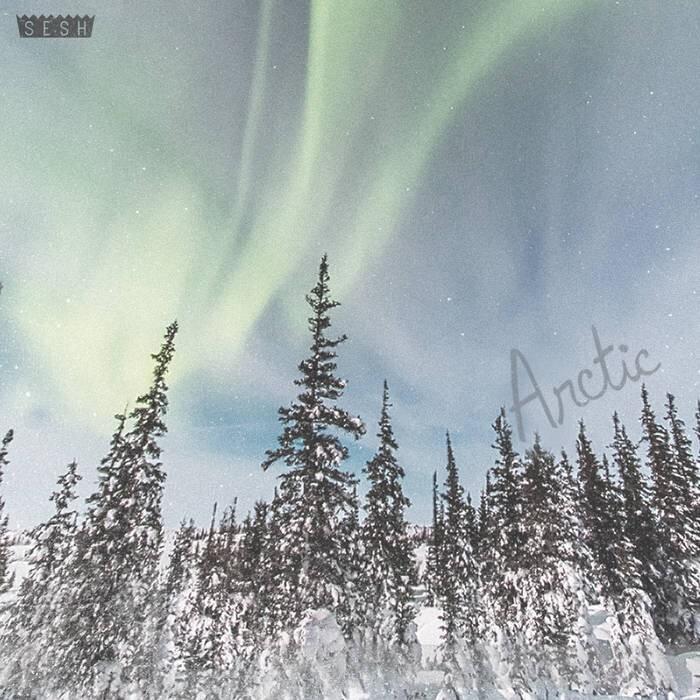 Cover image for arctic