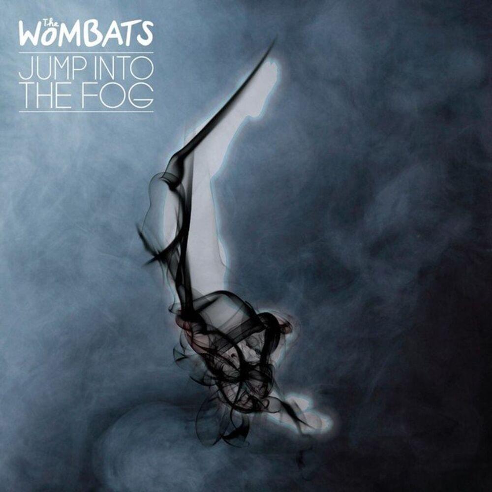 Album cover art for "Valentine" by The Wombats