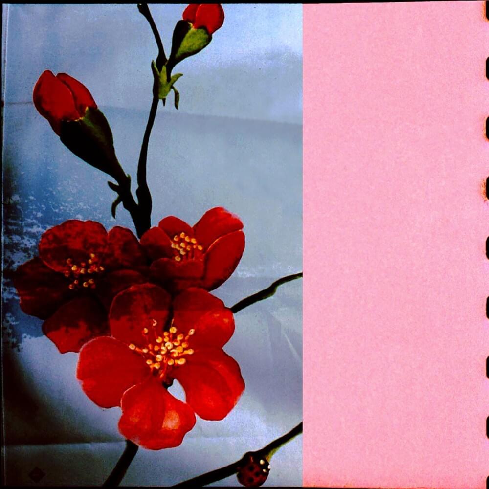 ​listening to his radio in the park by Ricky Eat Acid