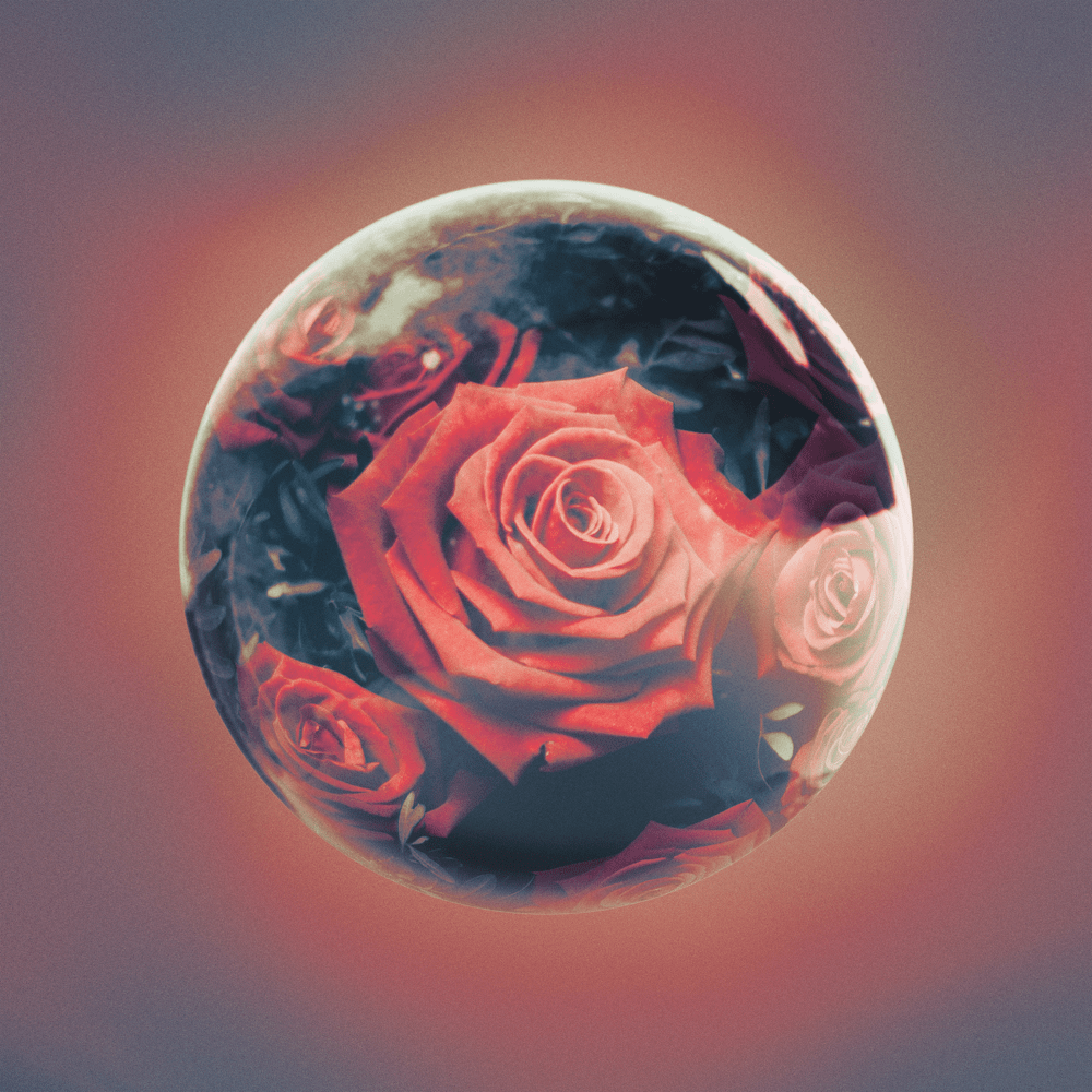 Album cover art for "Nobody Like You" by Deorro & Lost Boy (USA)