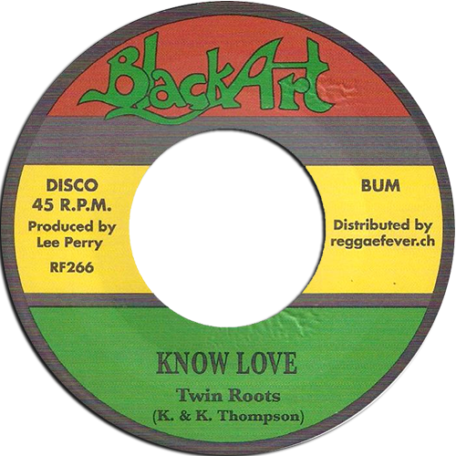 Album cover art for "Know Love" by Twin Roots