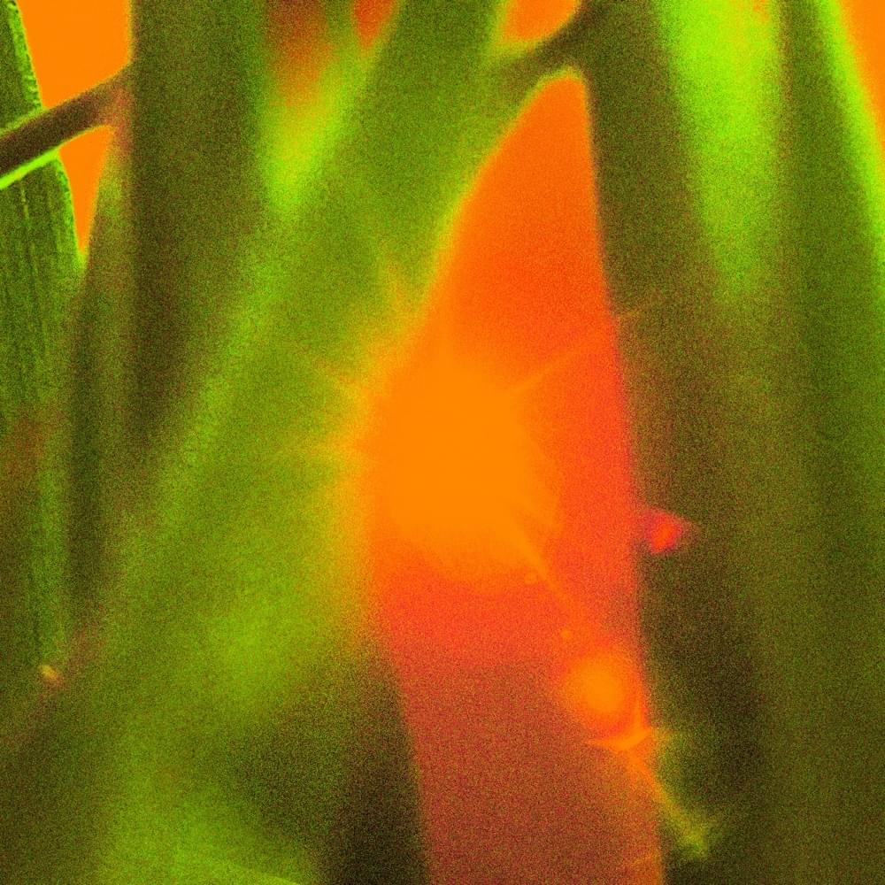 Album cover art for "Grass and the Sun" by Mavi Phoenix