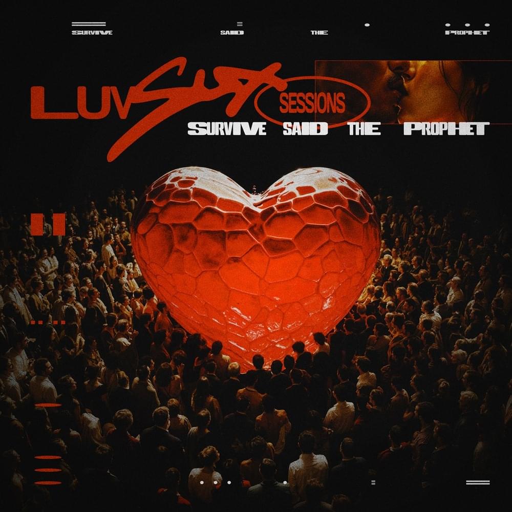 Cover image for Luv Sux Sessions