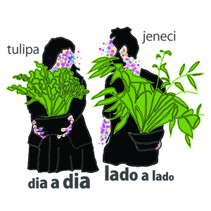 Album cover art for "Dia A Dia, Lado A Lado" by Tulipa Ruiz & Marcelo Jeneci