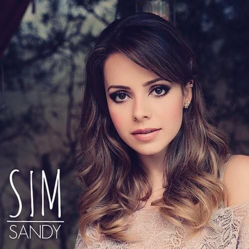 Cover image for Sim