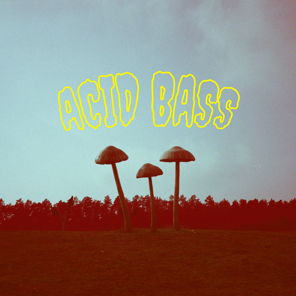 Album cover art for "Acid Bass" by Frittenbude