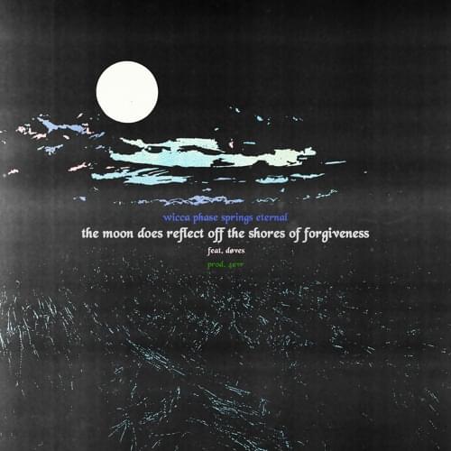 Album cover art for "The Moon Does Reflect Off the Shores of Forgiveness" by Wicca Phase Springs Eternal & døves