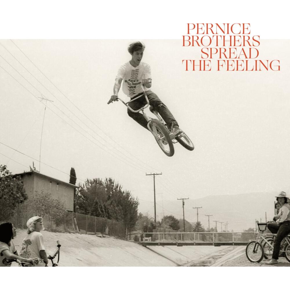 Evidently So by Pernice Brothers