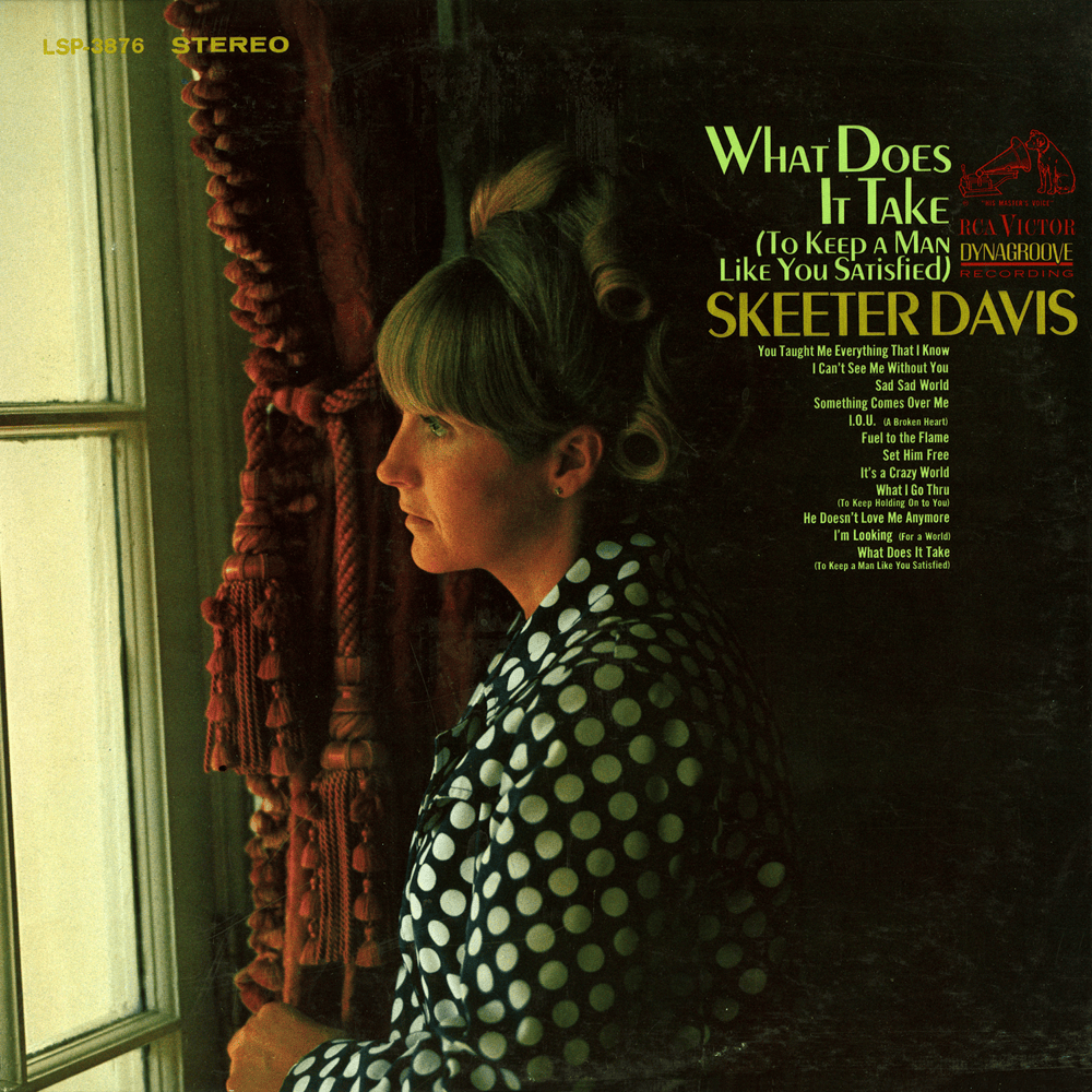 Album cover art for "Fuel to the Flame" by Skeeter Davis