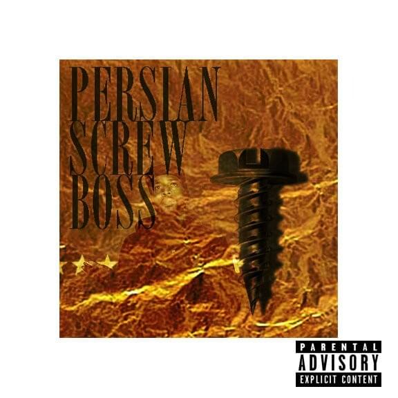 Cover image for SCREWBOSS