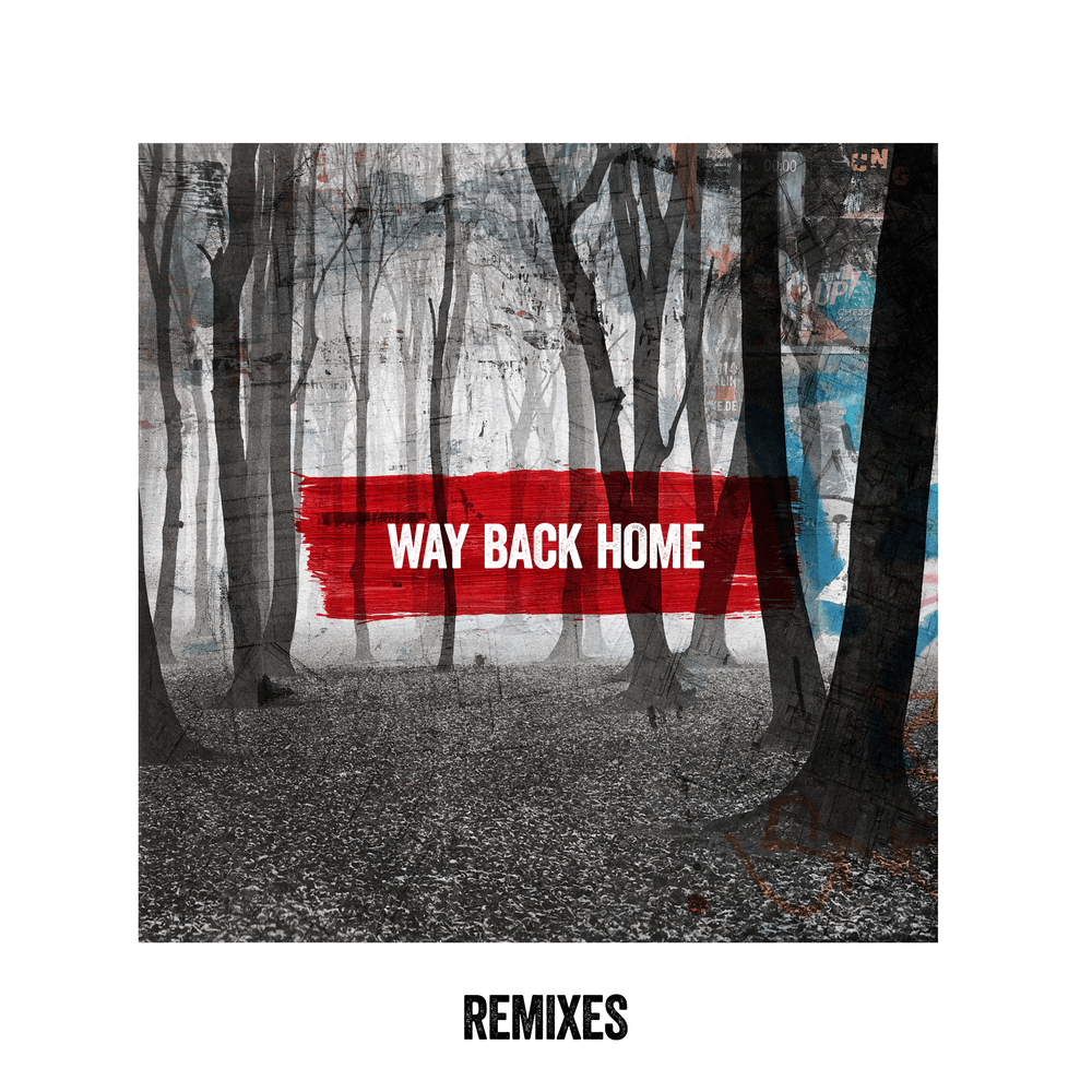 Album cover art for "Way Back Home (WE ARE FURY Remix)" by Mako