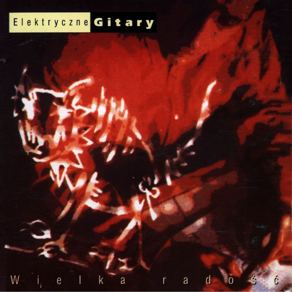 Wiele razy by Elektryczne Gitary