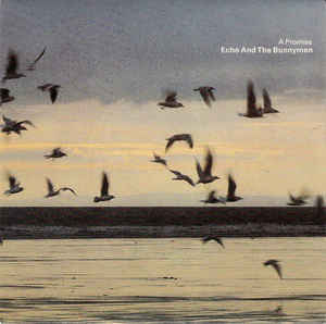 Album cover art for "A Promise" by Echo & the Bunnymen