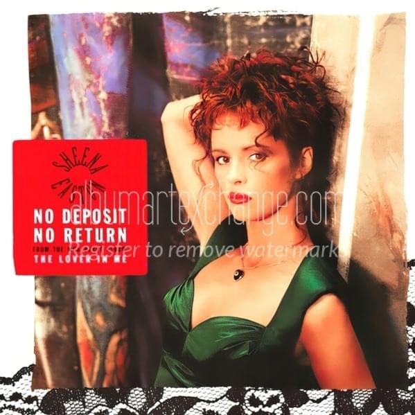 Cover image for No Deposit No Return/Follow My Rainbow (Remixes)