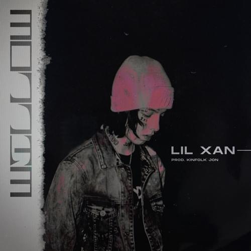 Album cover art for "Willow" by Lil Xan