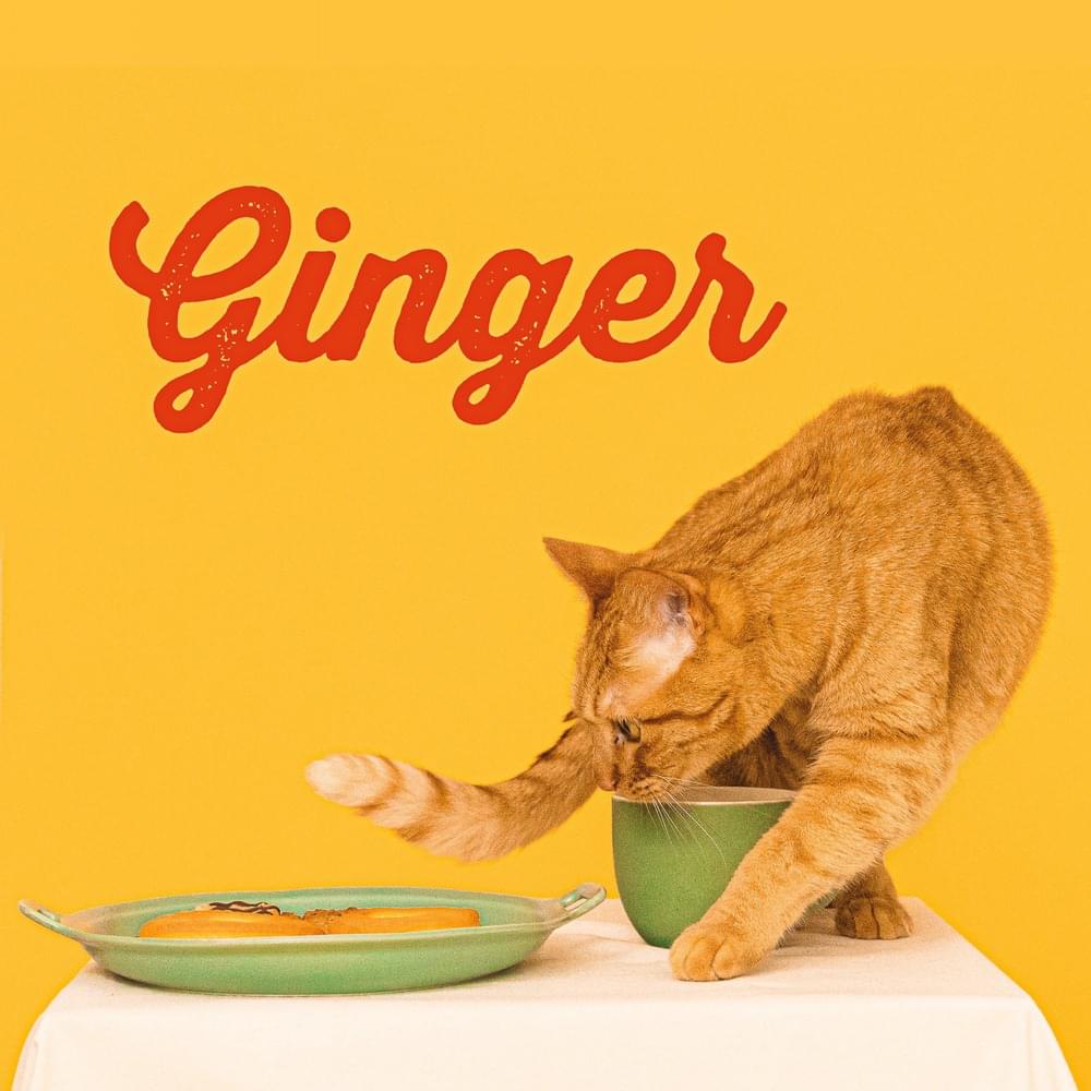Album cover art for "Ginger" by TOMOO