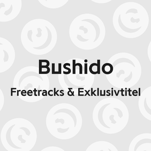 Album cover art for "HSP" by Bushido & Horst Schlämmer & Kay One
