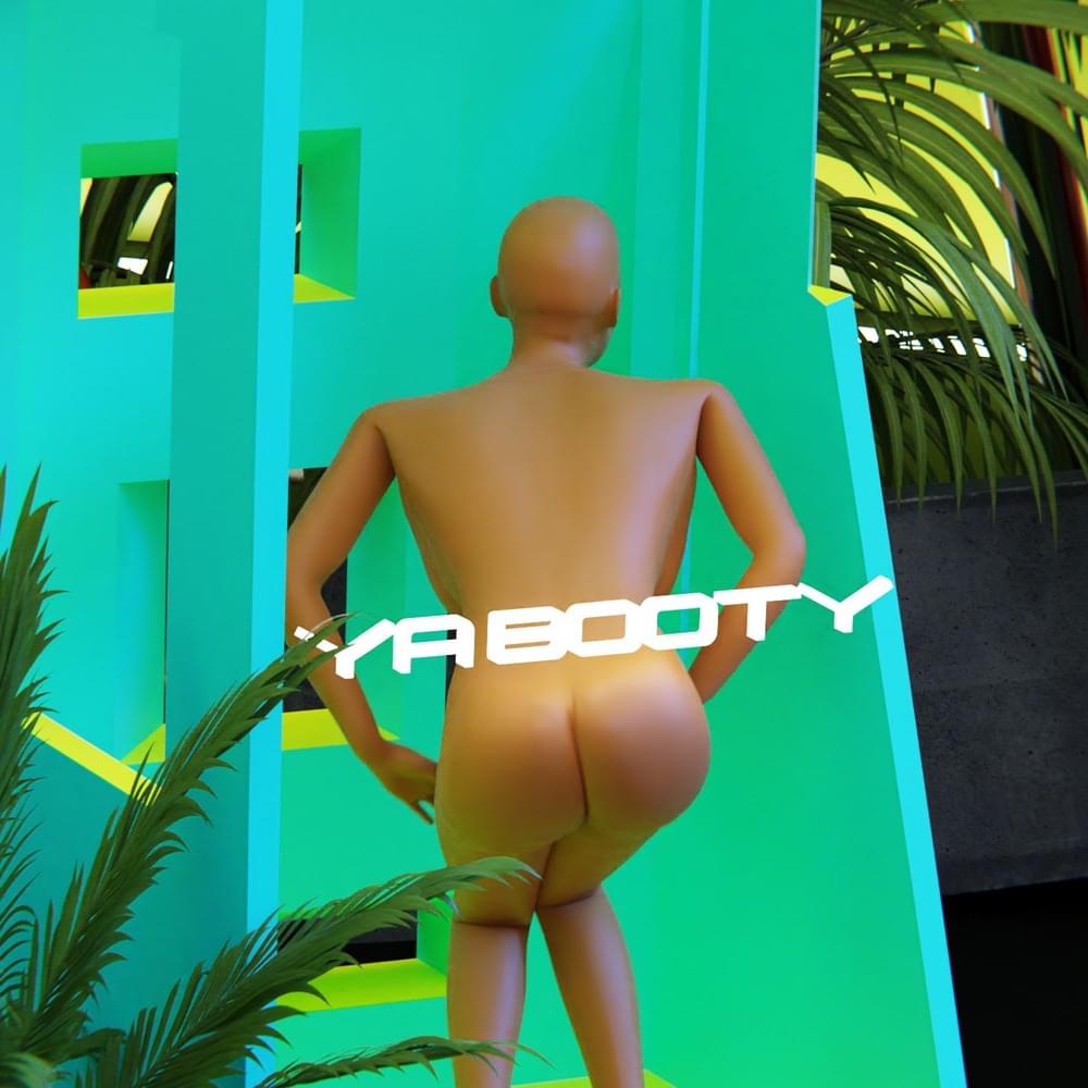 Album cover art for "Ya Booty" by Dabow