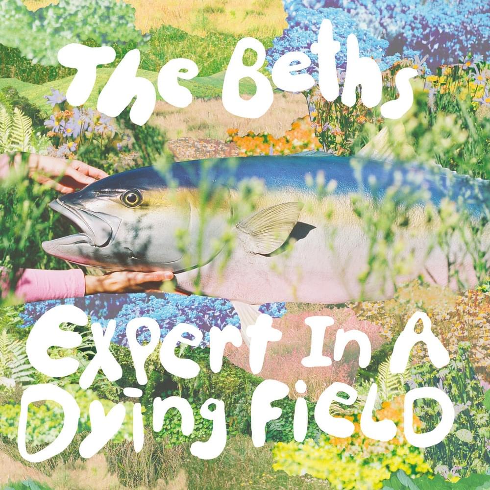 Album cover art for "I Told You That I Was Afraid (Acoustic)" by The Beths