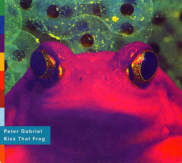 Album cover art for "Kiss That Frog (Mindblender Mix)" by Peter Gabriel