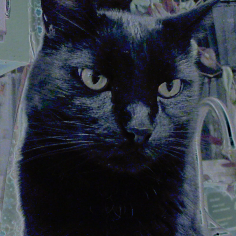 Album cover art for "Test 48" by HTCAT