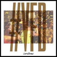 Album cover art for "#VFD" by Gers Pardoel