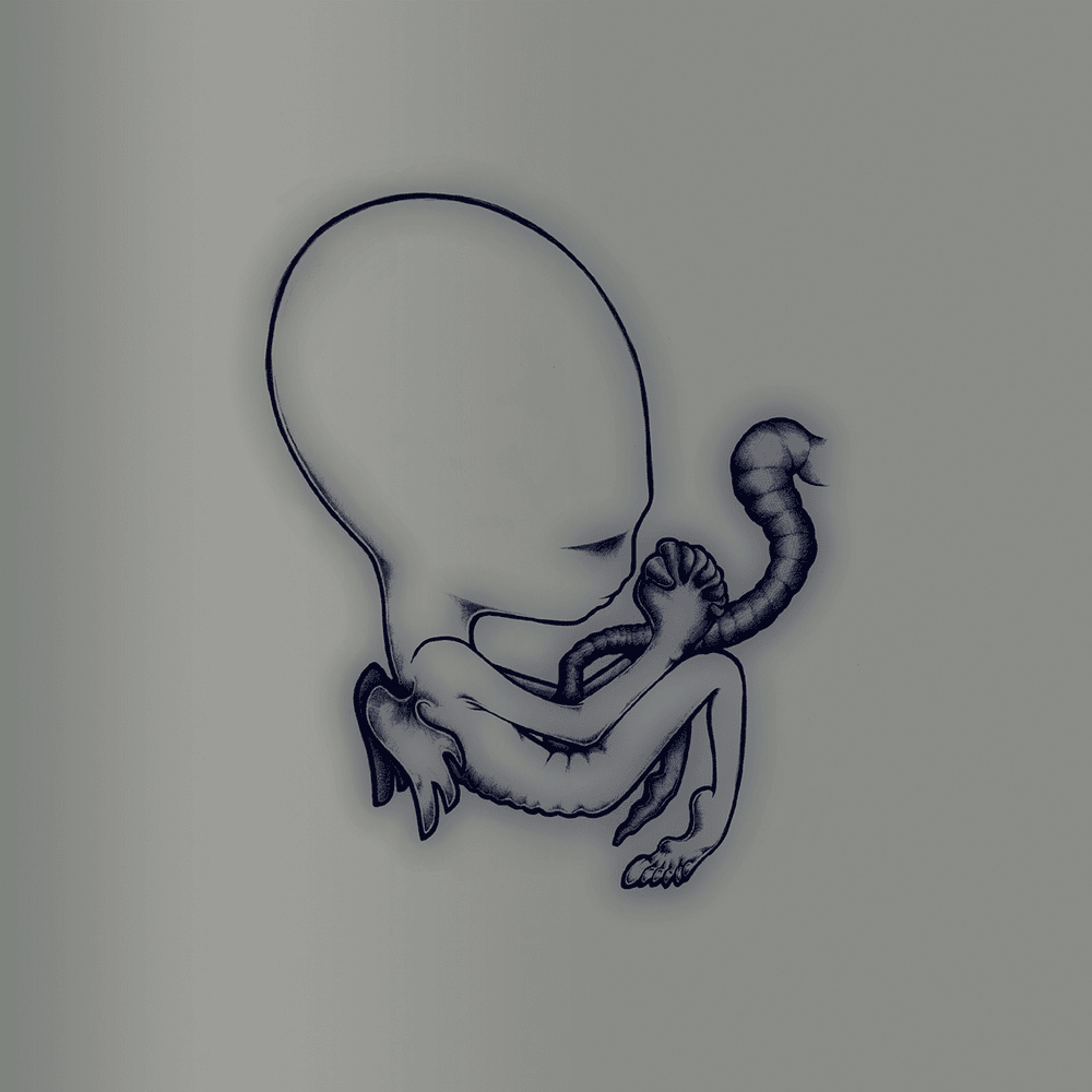 Cover image for  Ágætis byrjun - A Good Beginning (20th Anniversary Deluxe Edition) 