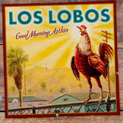 Album cover art for "Manny's Bones (live)" by Los Lobos