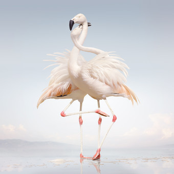 Attak by Rustie
