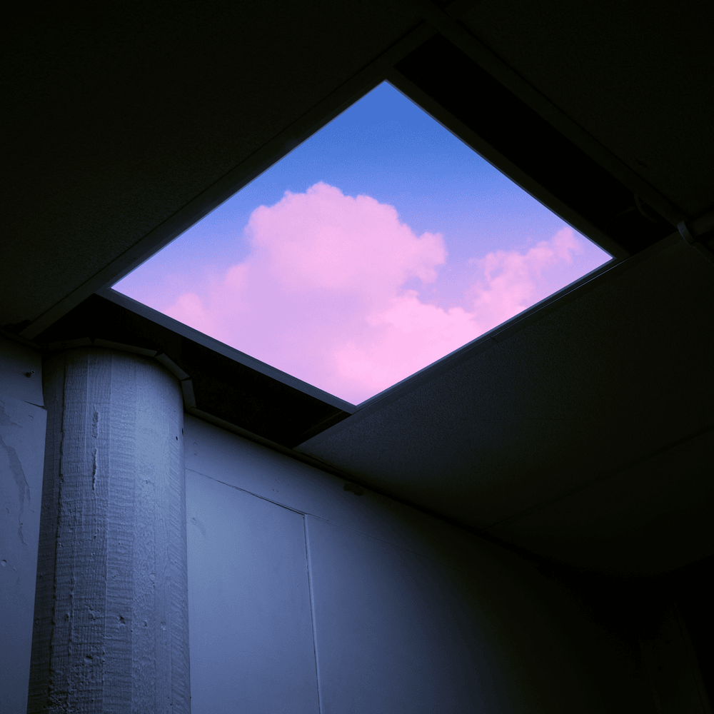 Album cover art for "Back of My Mind" by SG Lewis