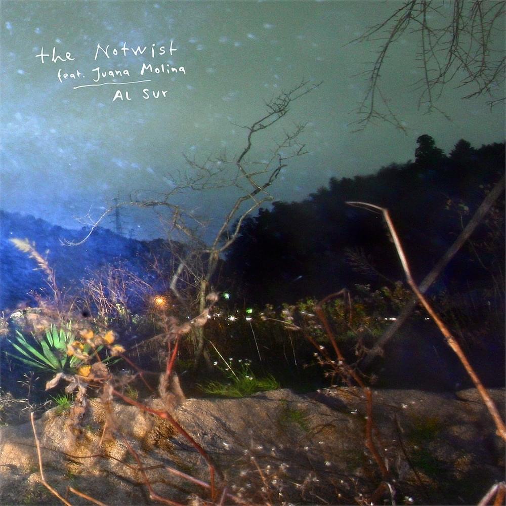 Album cover art for "Al Sur" by The Notwist & Juana Molina