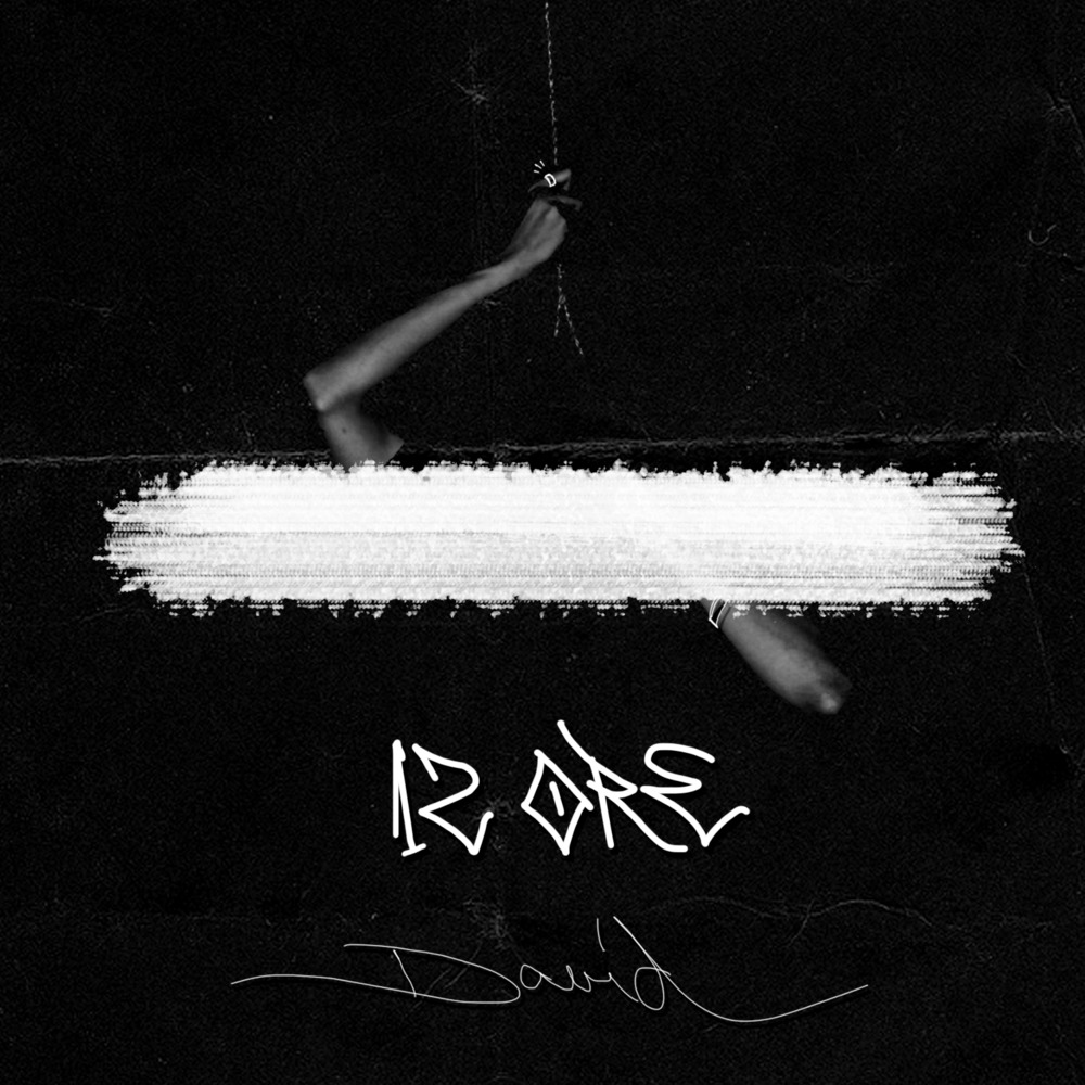 Cover image for 12 ore