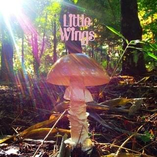 Album cover art for "Neptune's Next" by Little Wings