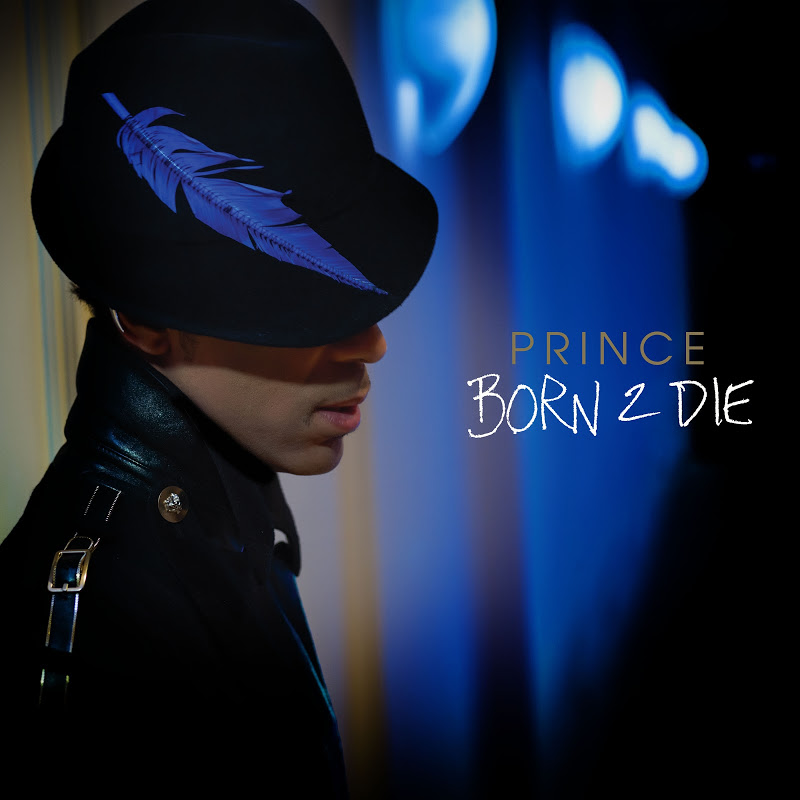 Album cover art for "Born 2 Die" by Prince