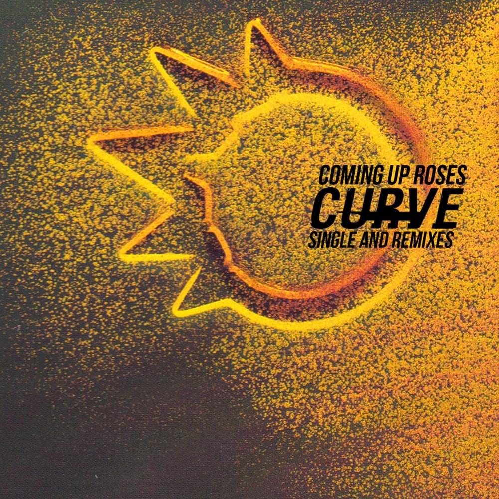 Album cover art for "Coming Up Roses" by Curve