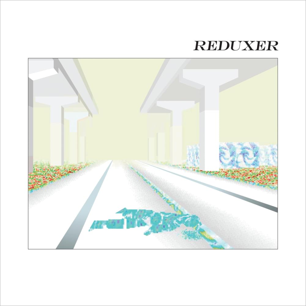 Cover image for REDUXER