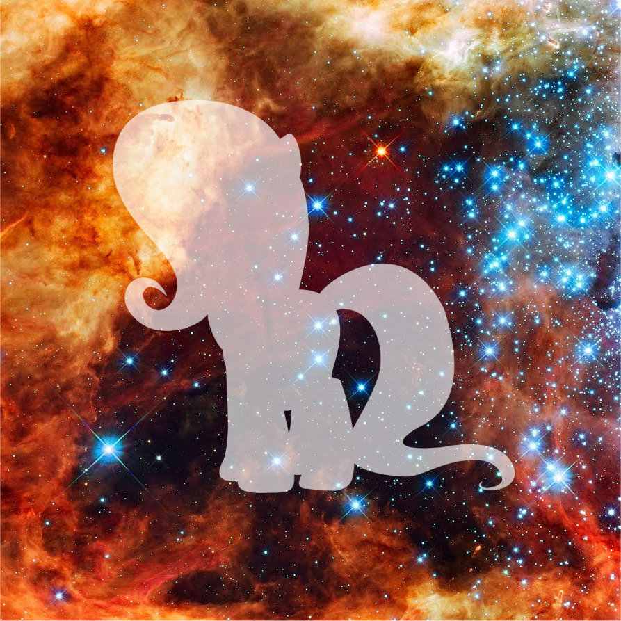 Album cover art for "Stargazer" by Le Soldat Pony