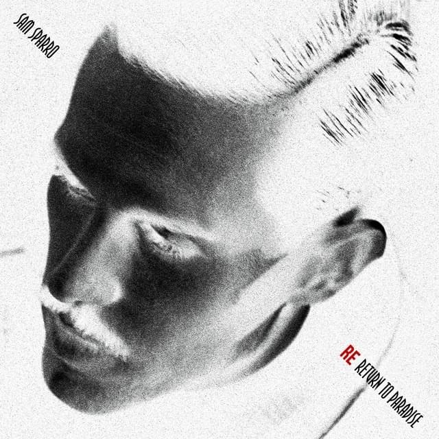Cover image for Re-Return to Paradise