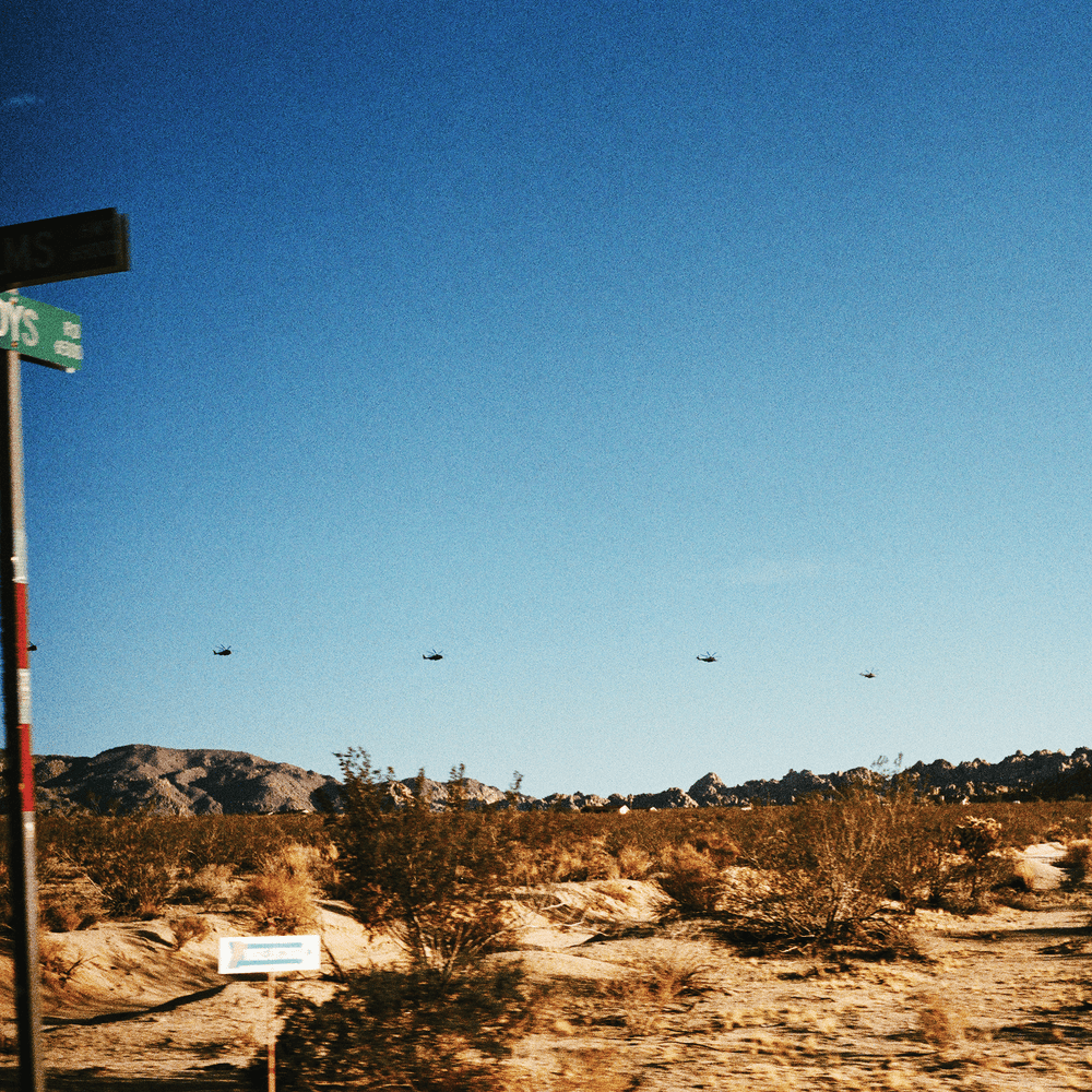 Album cover art for "GREY RUBBLE - GREEN SHOOTS" by Godspeed You! Black Emperor