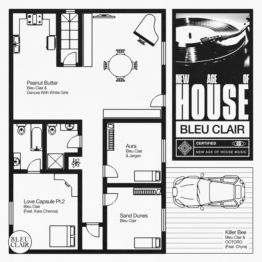Cover image for New Age of House