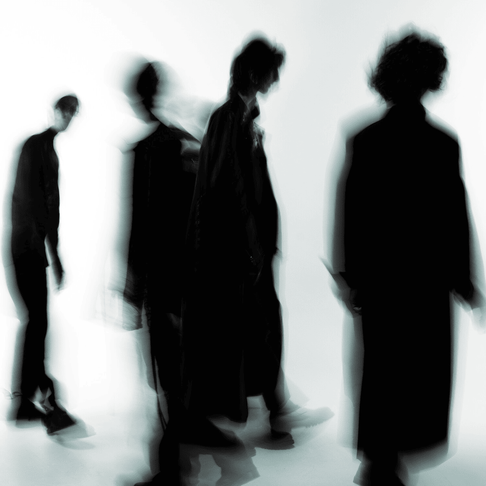 Album cover art for "More Than Life" by The Horrors