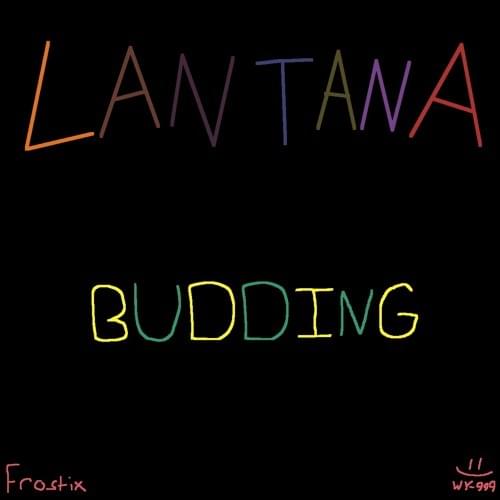 Album cover art for "Lantana" by Frostix