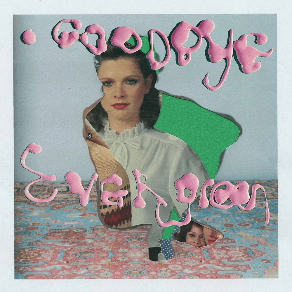 Album cover art for "Goodbye Evergreen" by Sufjan Stevens