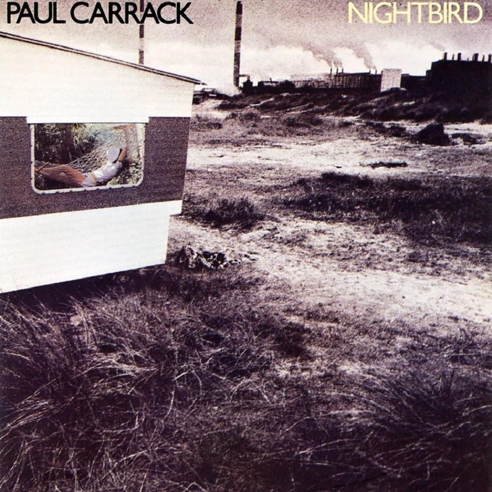 Cover image for Nightbird